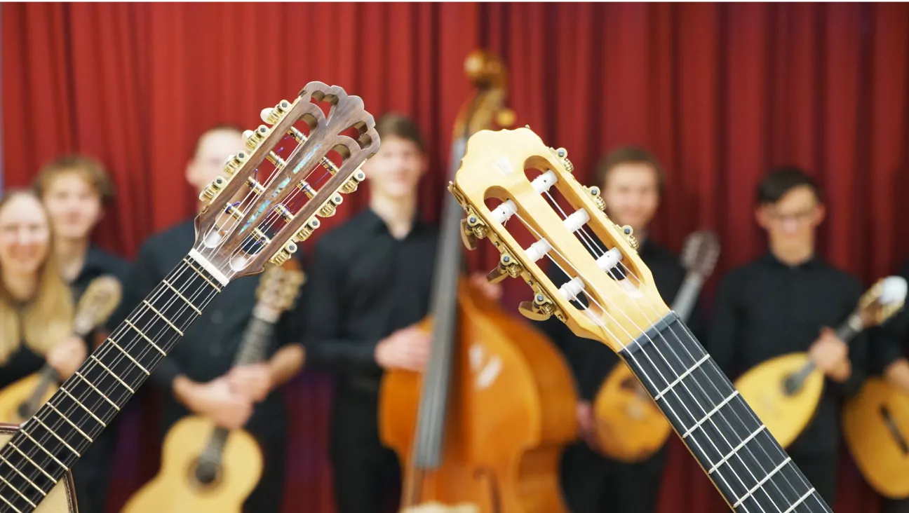 Symbolbild Bund Deutscher Zupfmusiker Landesverband Bayern e.V.